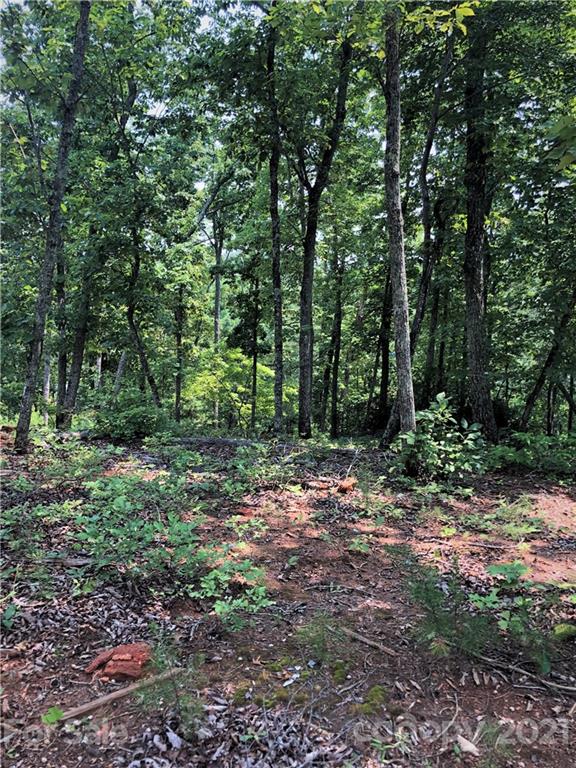 0 Lure Ridge Drive Lake Lure NC 28746