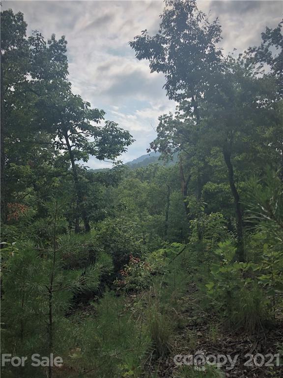 0 Lure Ridge Drive Lake Lure NC 28746