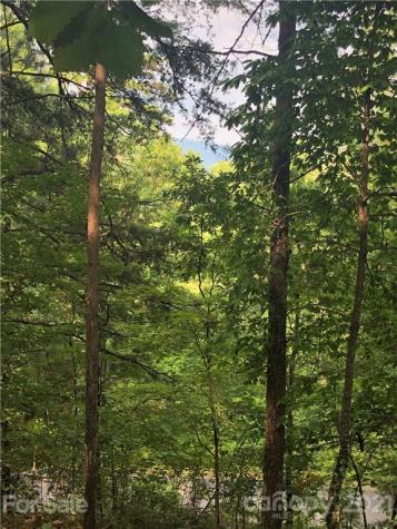 0 Lure Ridge Drive Lake Lure NC 28746