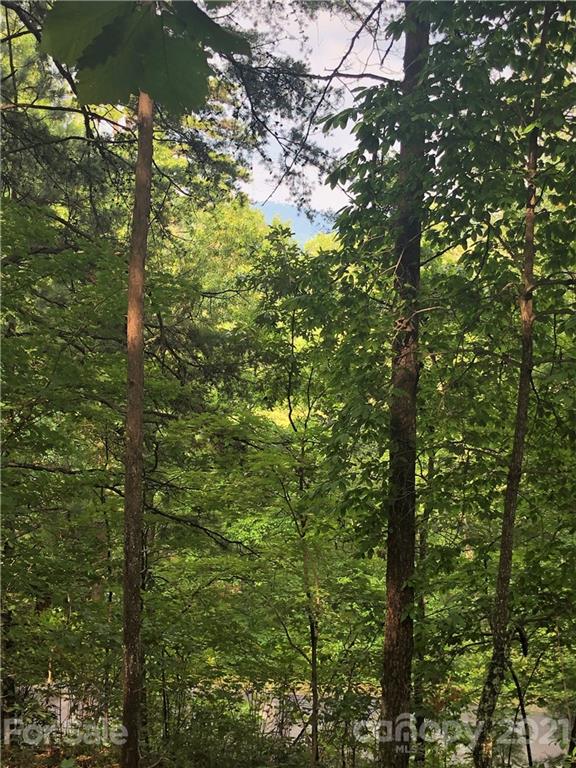 0 Lure Ridge Drive Lake Lure NC 28746