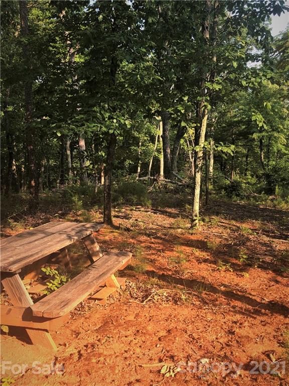 0 Lure Ridge Drive Lake Lure NC 28746