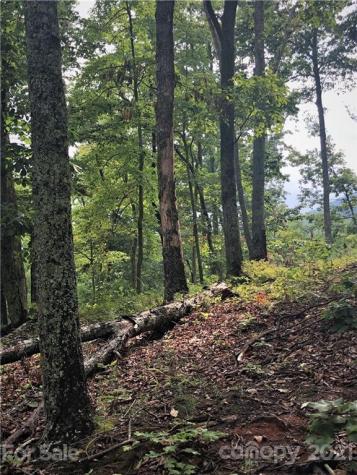 0 Lure Ridge Drive Lake Lure NC 28746