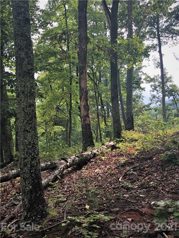 0 Lure Ridge Drive Lake Lure NC 28746