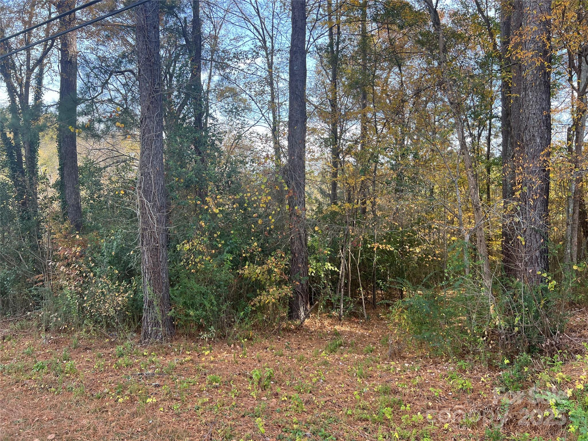 0 Alexander Street Dallas NC 28034