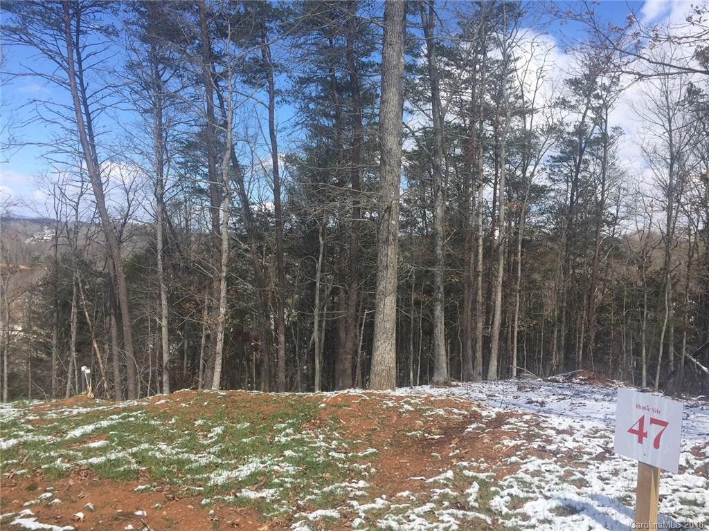 65 Sweet Fern Parkway Asheville NC 28804