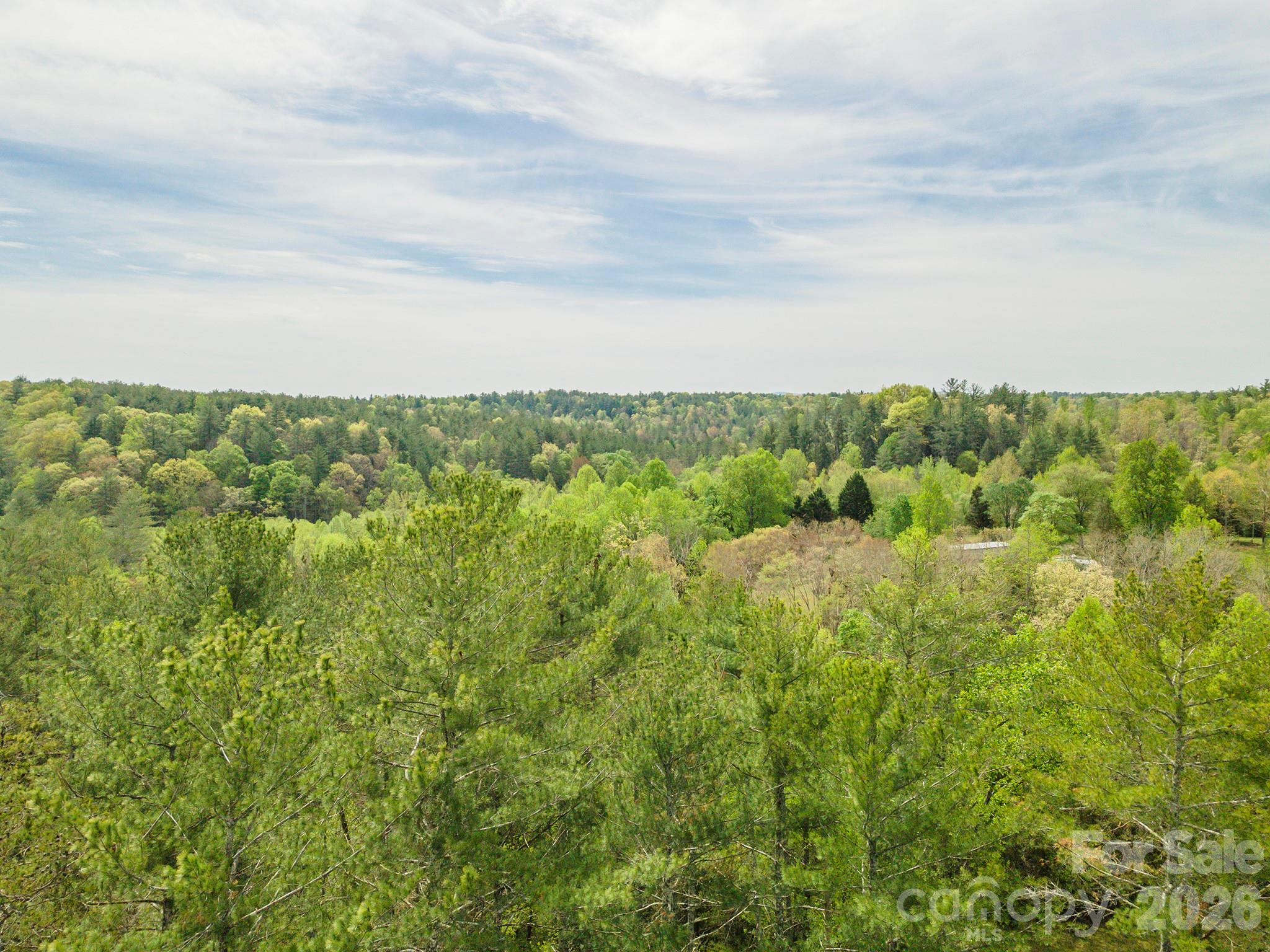 0 Henderson Mill Road Morganton NC 28655