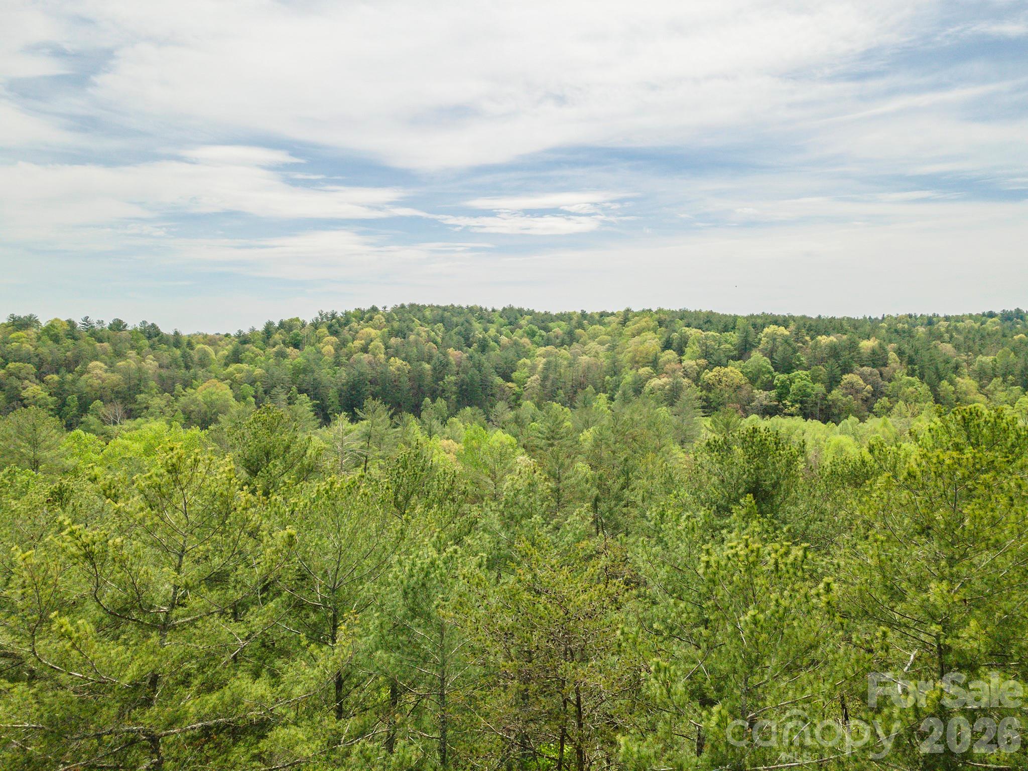 0 Henderson Mill Road Morganton NC 28655