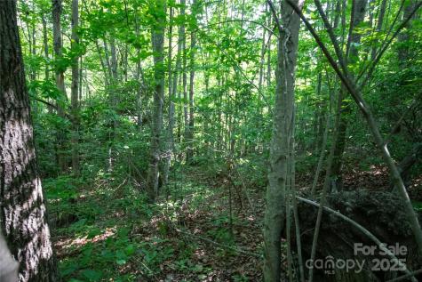 Lot# 130 Terra Vista Drive Lenoir NC 28645