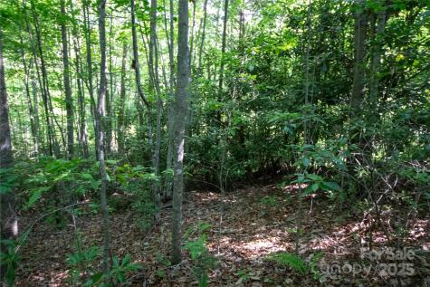 Lot# 130 Terra Vista Drive Lenoir NC 28645