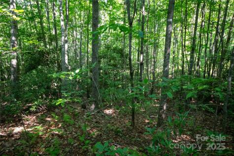 Lot# 130 Terra Vista Drive Lenoir NC 28645