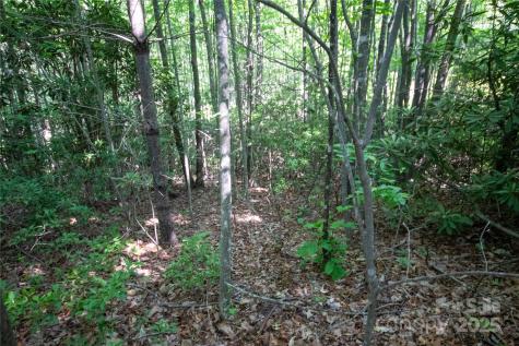 Lot# 130 Terra Vista Drive Lenoir NC 28645