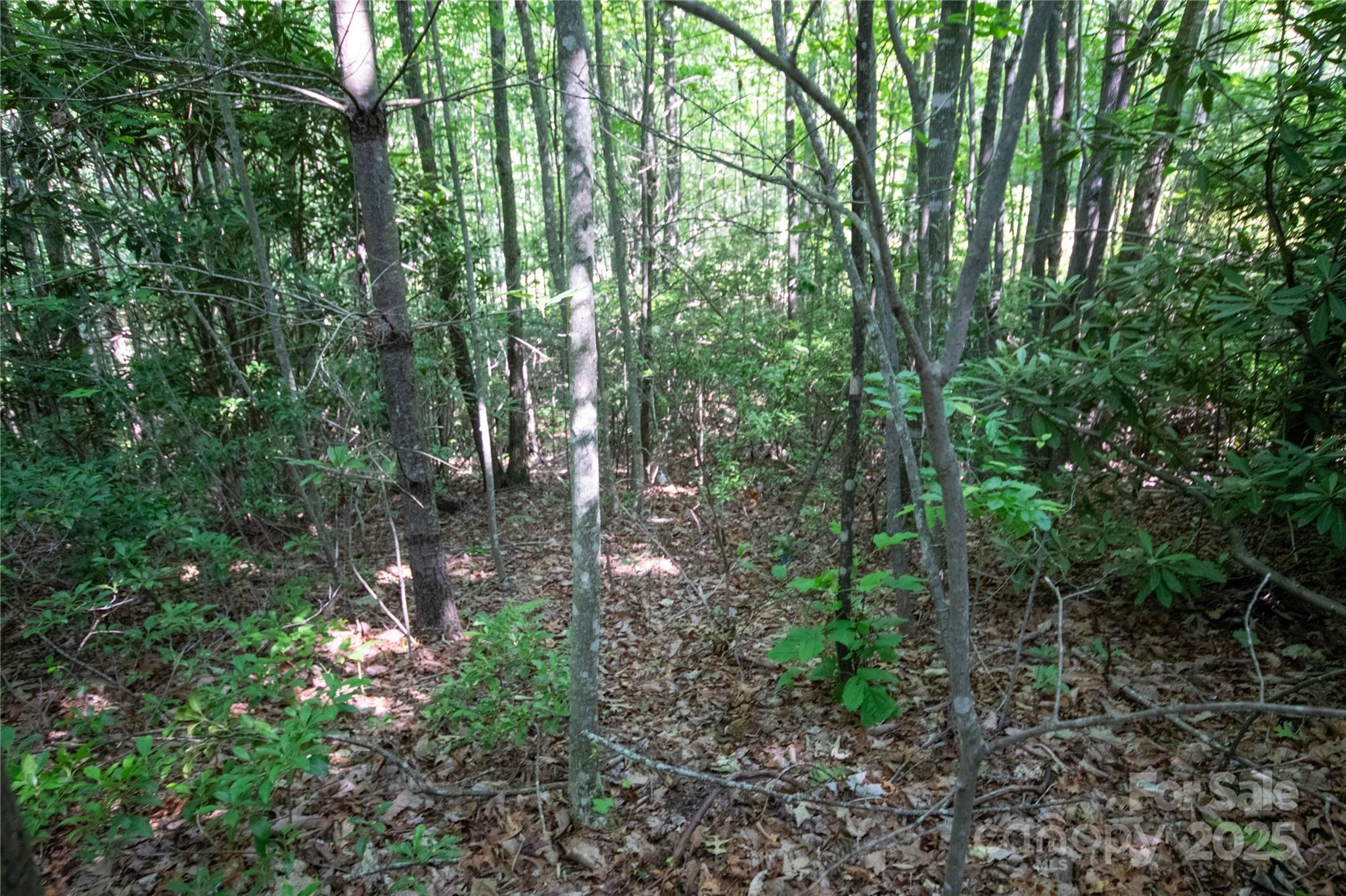 Lot# 130 Terra Vista Drive Lenoir NC 28645