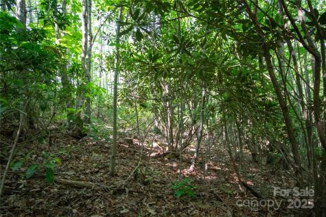 Lot# 130 Terra Vista Drive Lenoir NC 28645
