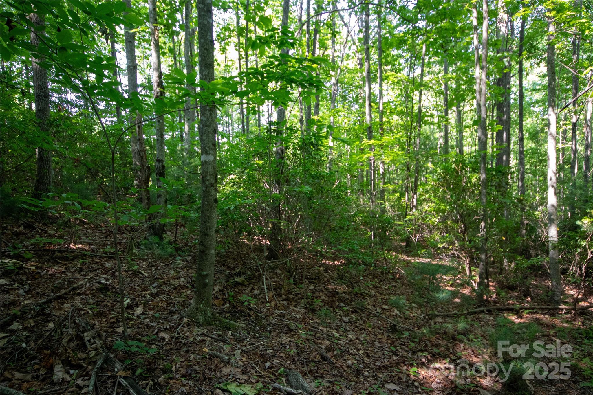 Lot# 130 Terra Vista Drive Lenoir NC 28645