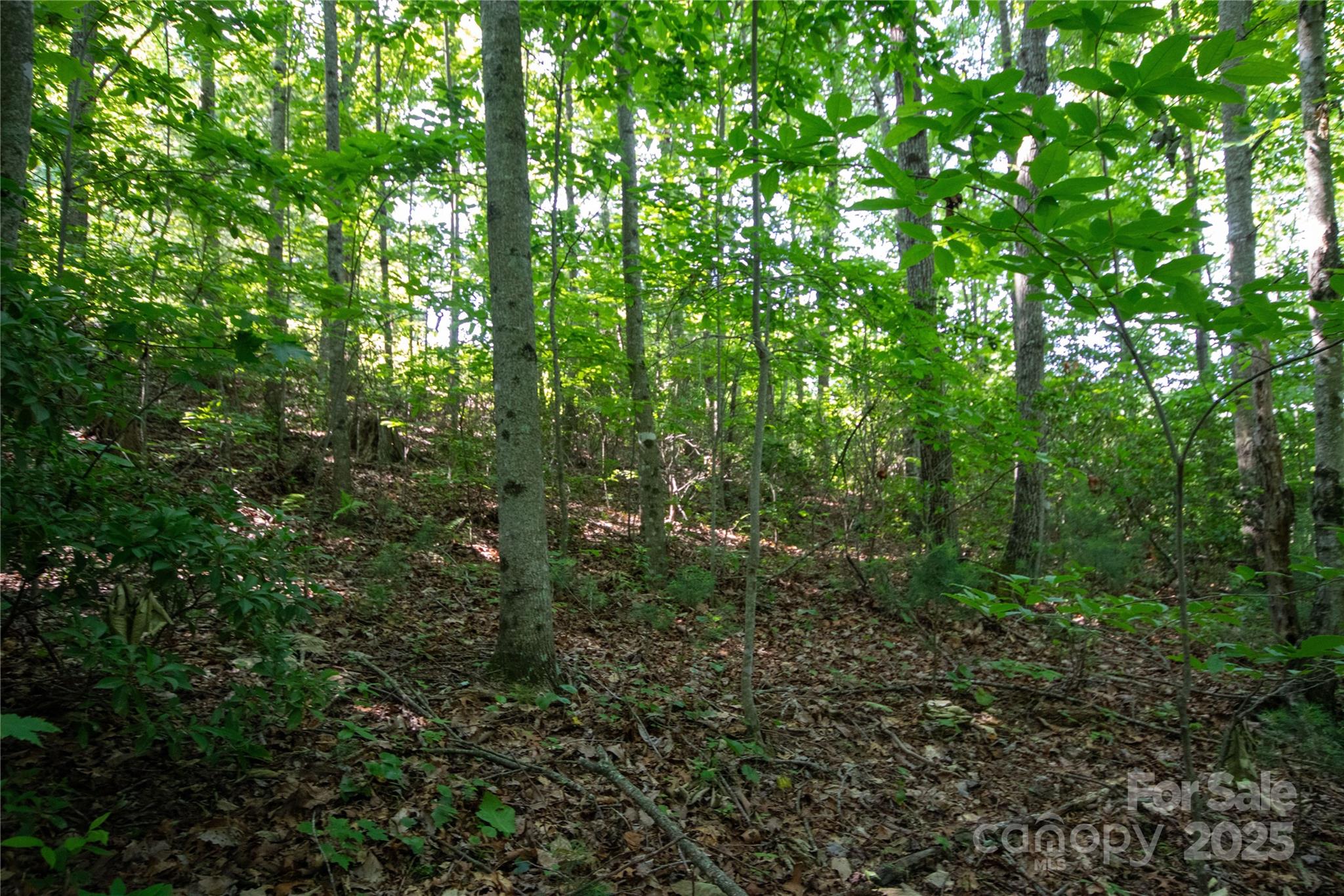 Lot# 130 Terra Vista Drive Lenoir NC 28645