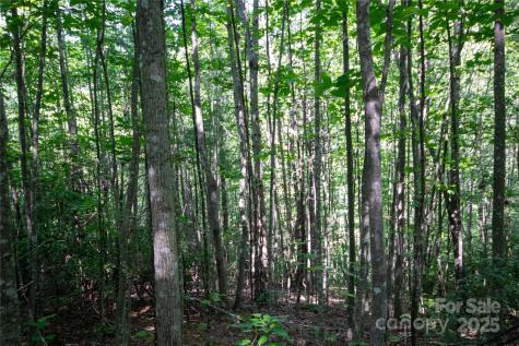 Lot# 130 Terra Vista Drive Lenoir NC 28645