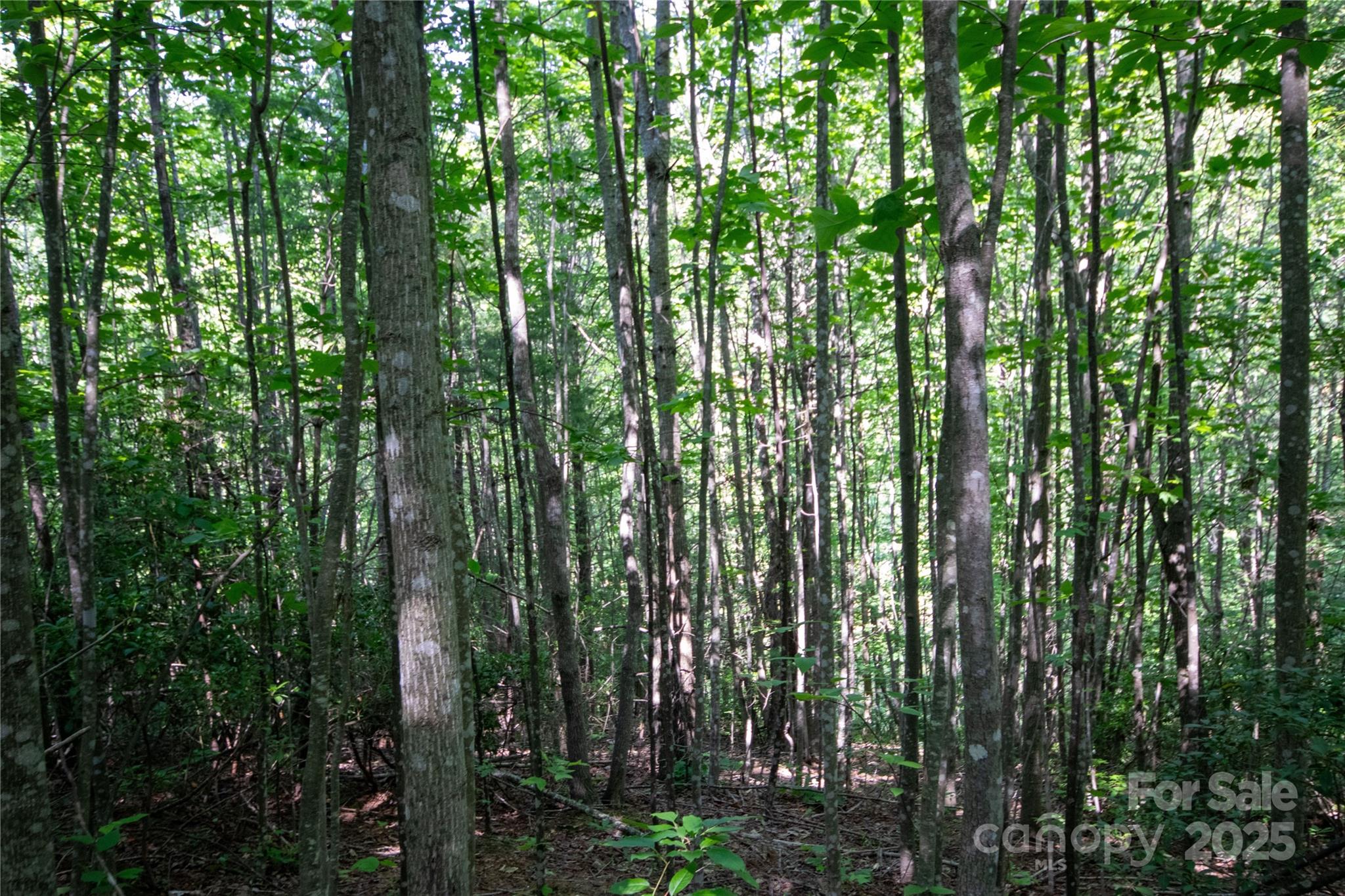 Lot# 130 Terra Vista Drive Lenoir NC 28645