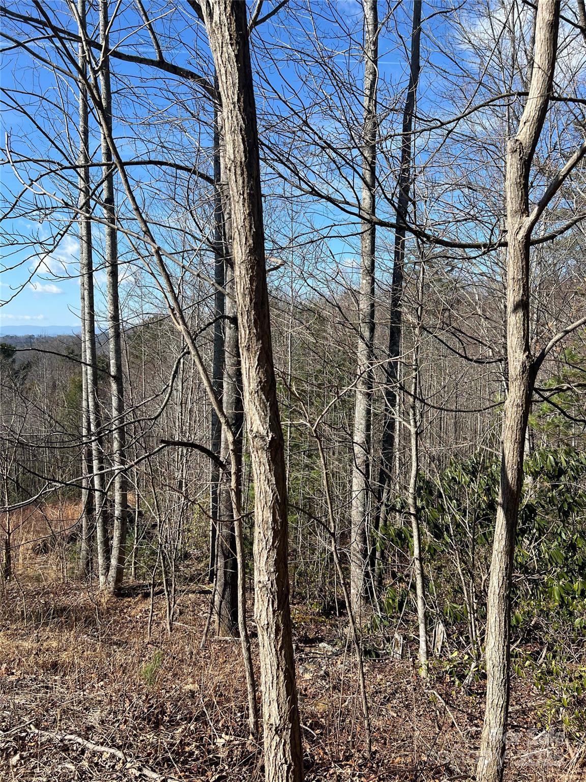 Lot# 130 Terra Vista Drive Lenoir NC 28645