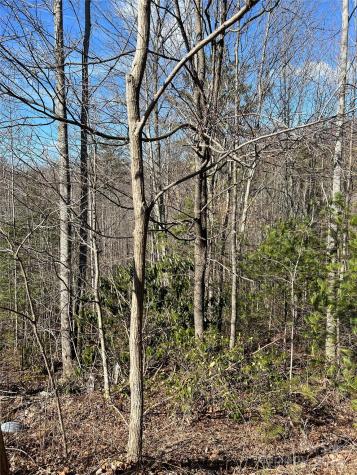 Lot# 130 Terra Vista Drive Lenoir NC 28645