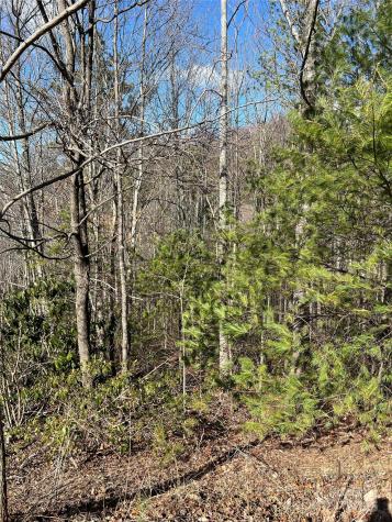 Lot# 130 Terra Vista Drive Lenoir NC 28645