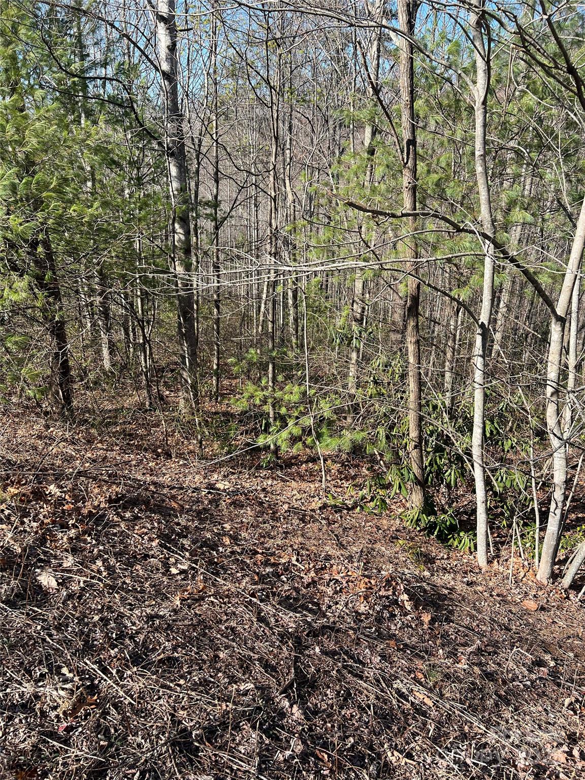 Lot# 130 Terra Vista Drive Lenoir NC 28645