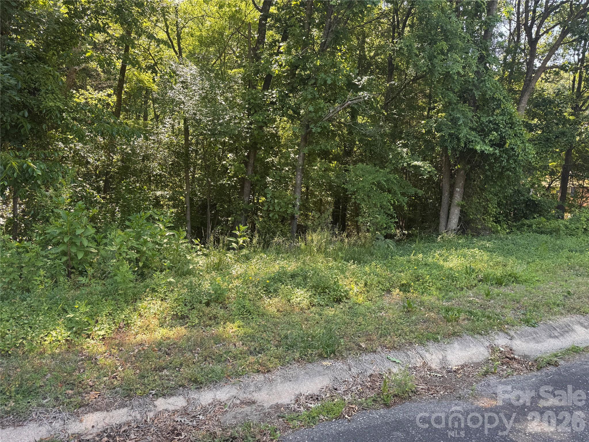 0 Tanglewood Drive Kannapolis NC 28081