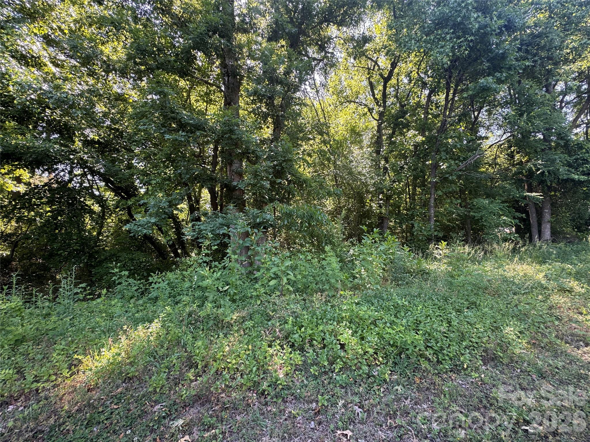 0 Tanglewood Drive Kannapolis NC 28081
