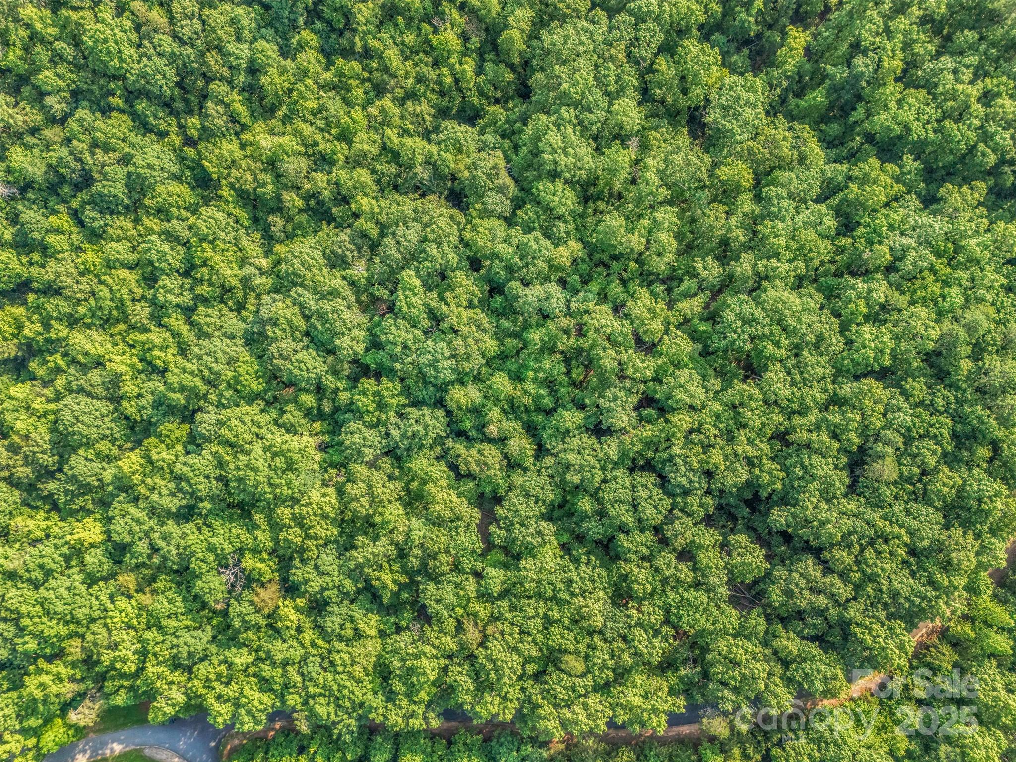 0 Forest Country Drive Marion NC 28752