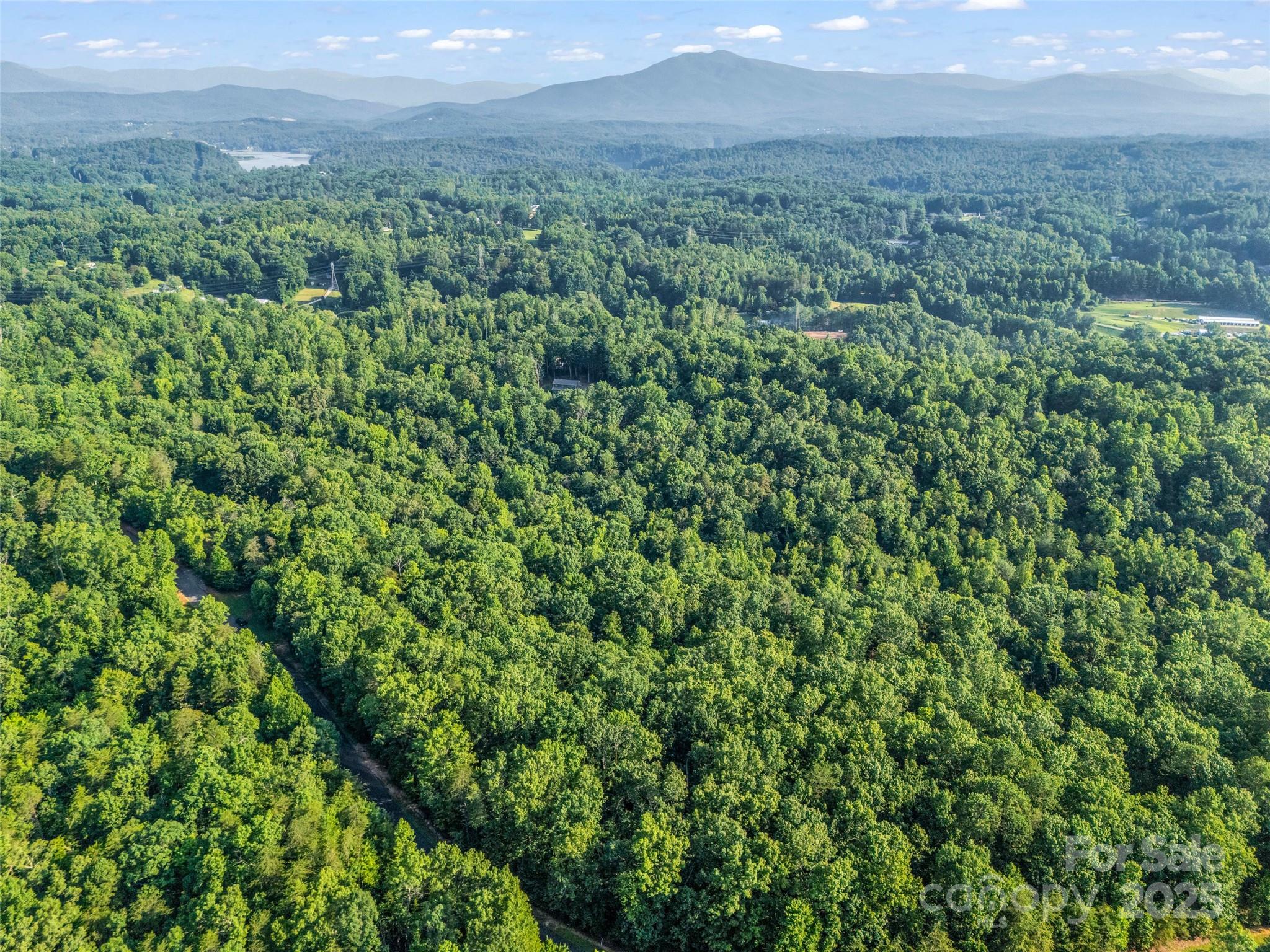 0 Forest Country Drive Marion NC 28752