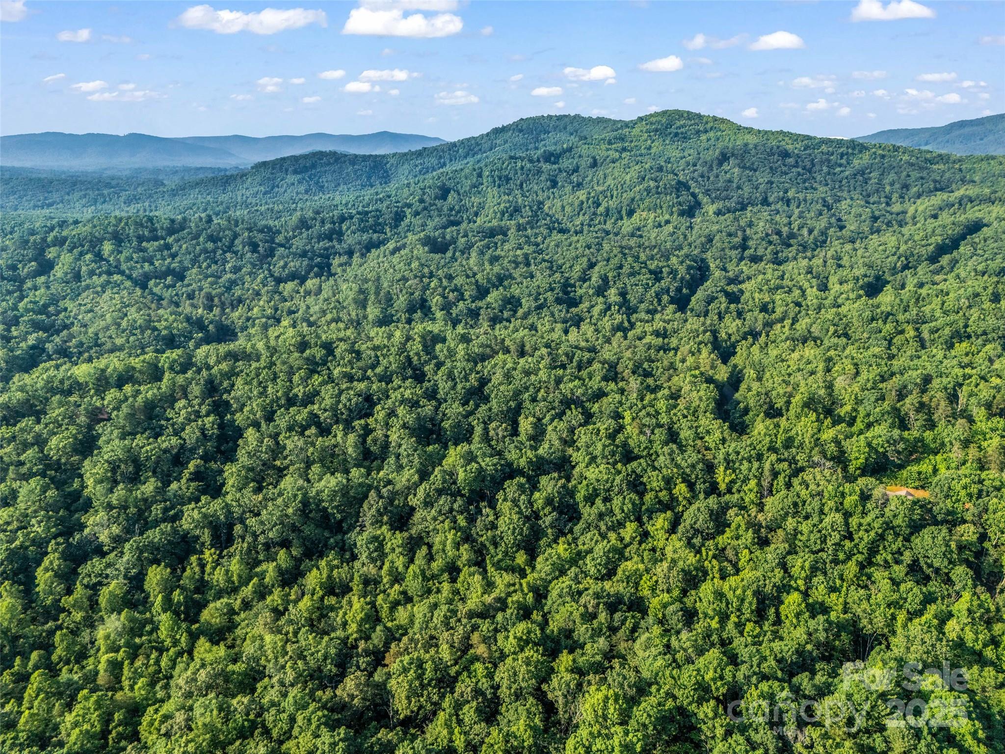 0 Forest Country Drive Marion NC 28752
