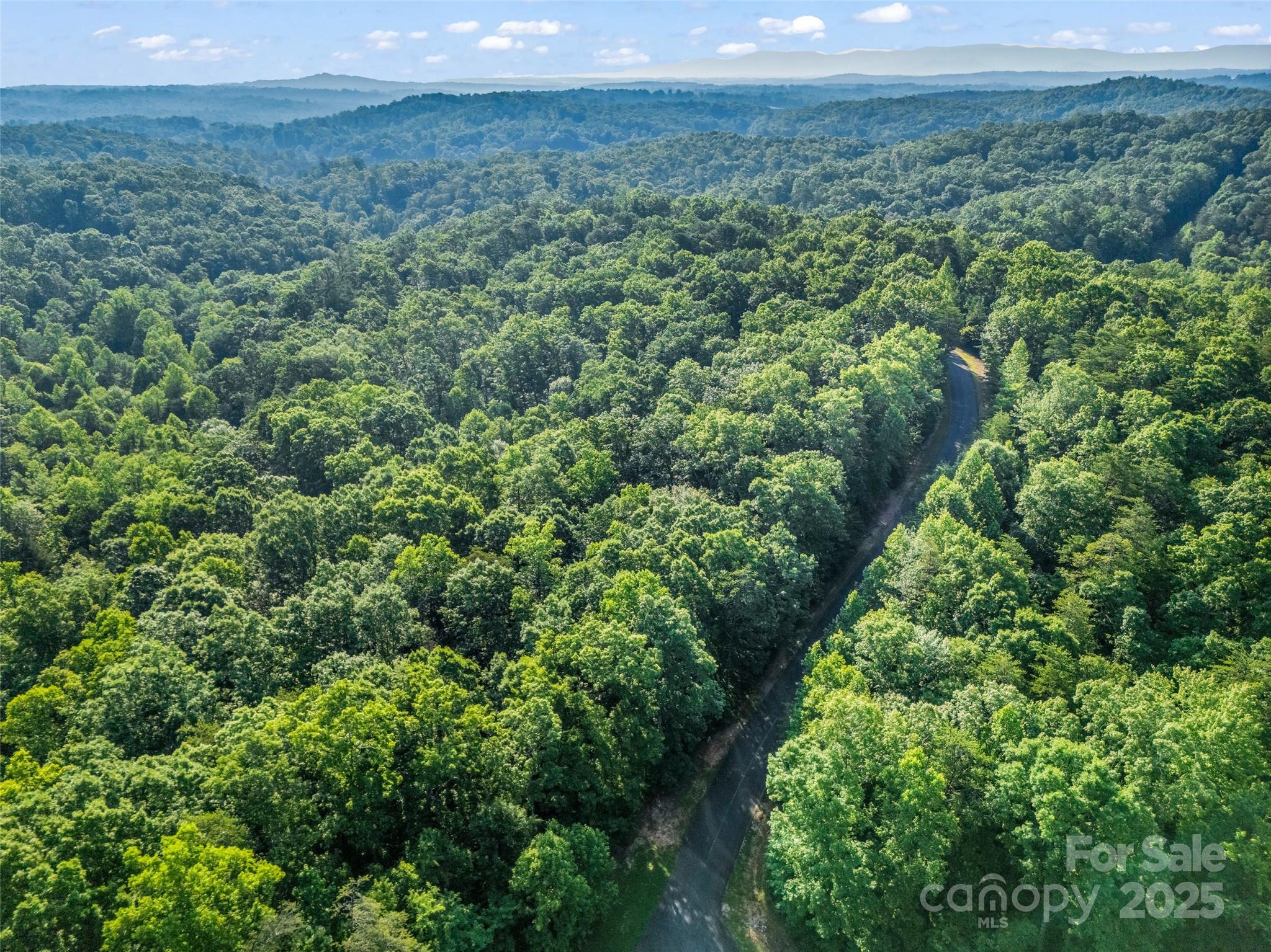 0 Forest Country Drive Marion NC 28752