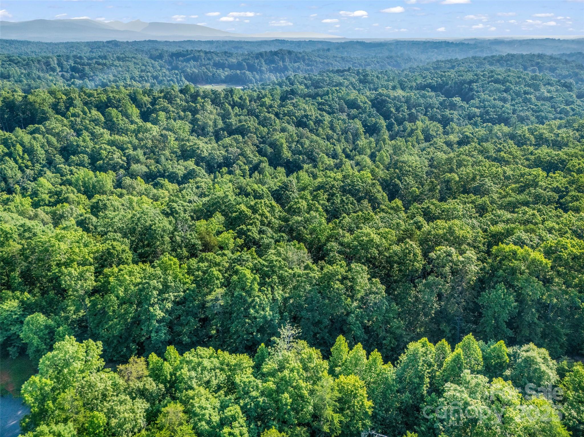 0 Forest Country Drive Marion NC 28752