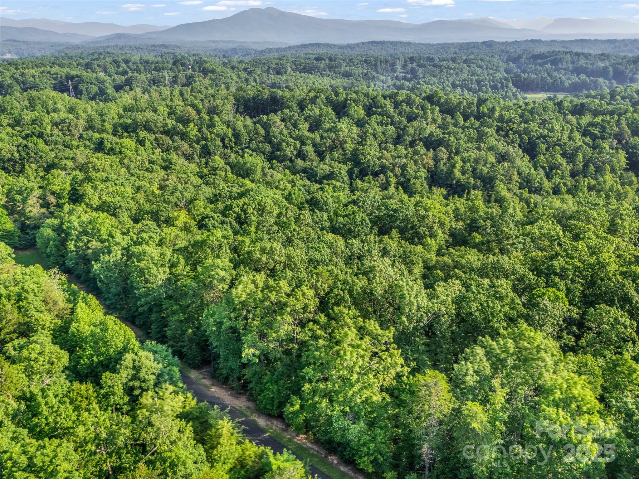 0 Forest Country Drive Marion NC 28752