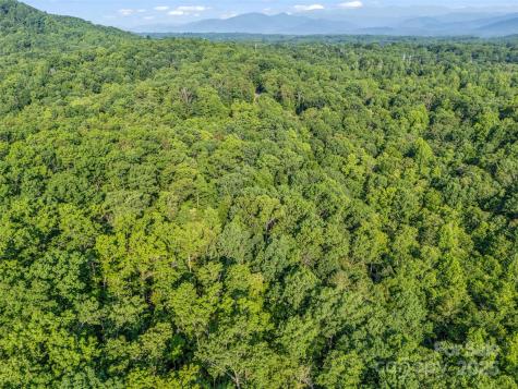 0 Forest Country Drive Marion NC 28752