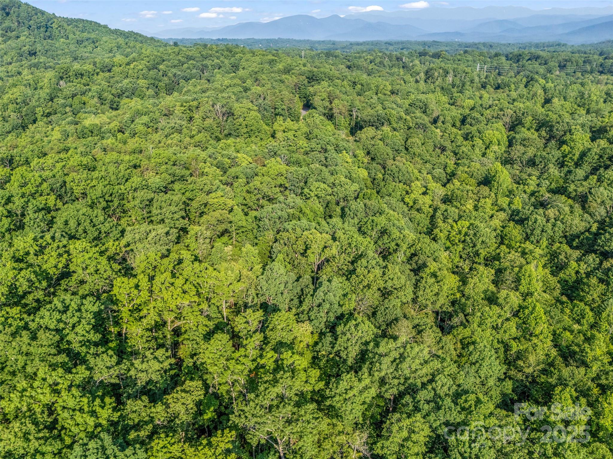 0 Forest Country Drive Marion NC 28752