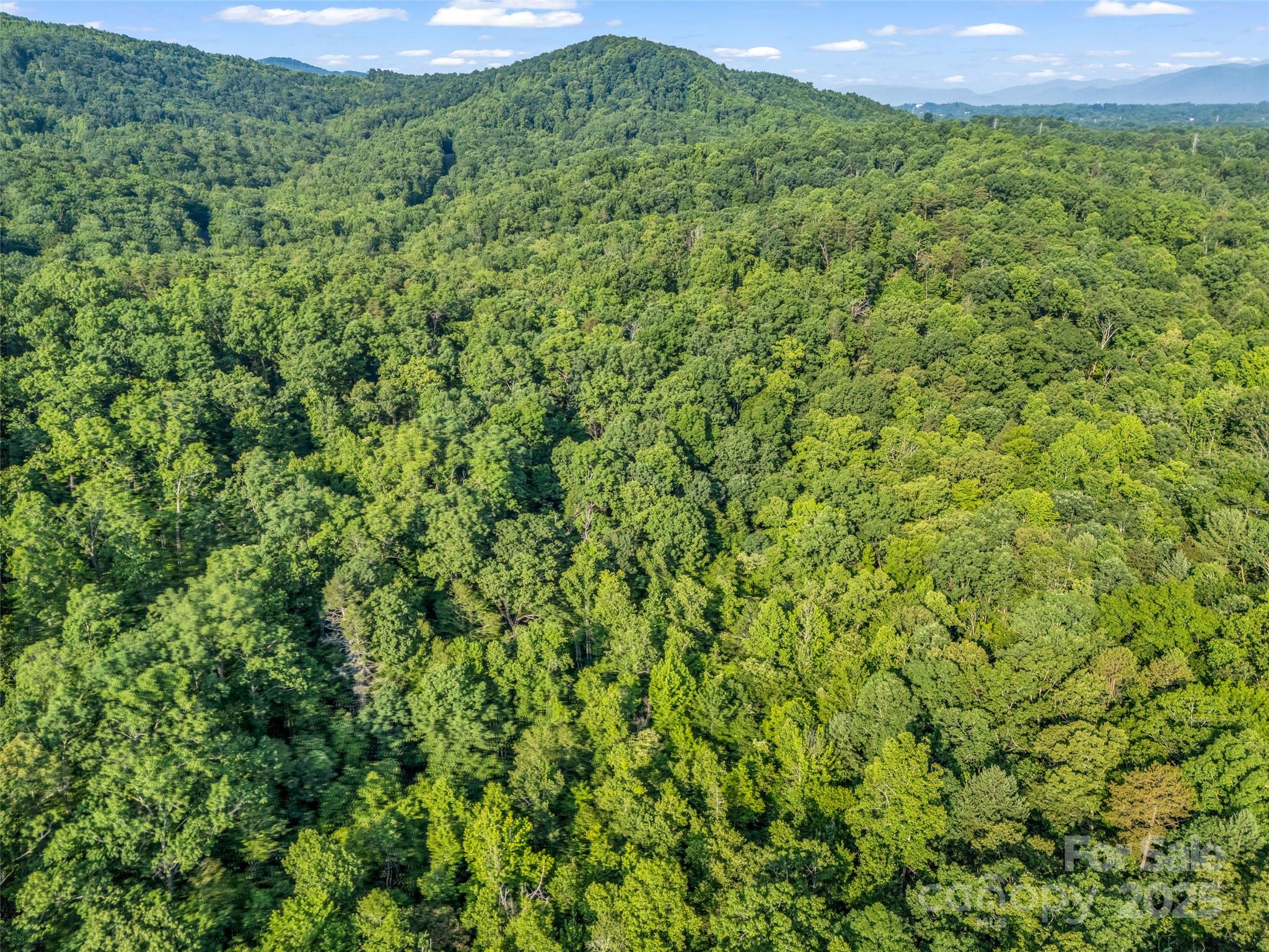 0 Forest Country Drive Marion NC 28752