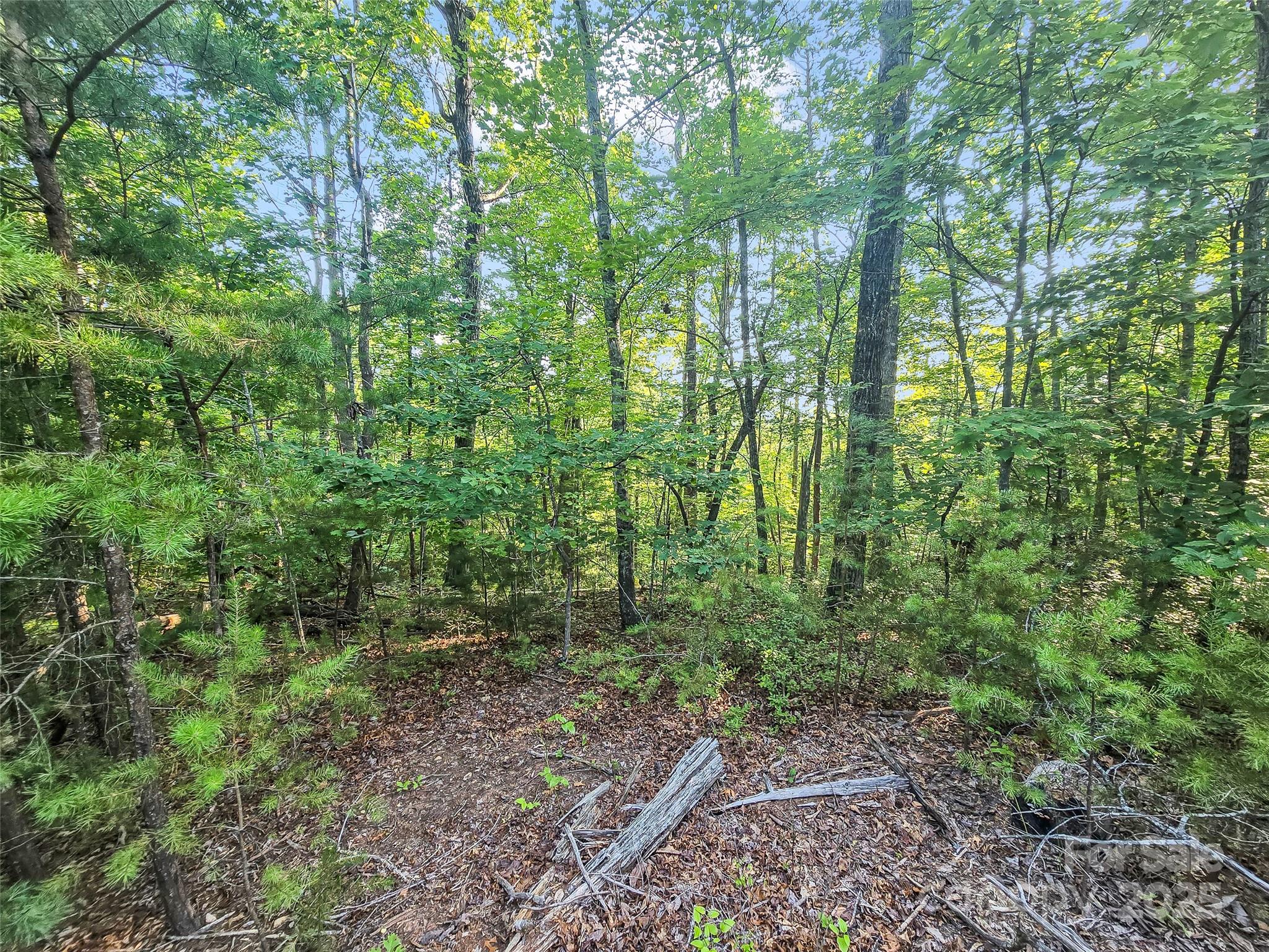 0 Forest Country Drive Marion NC 28752