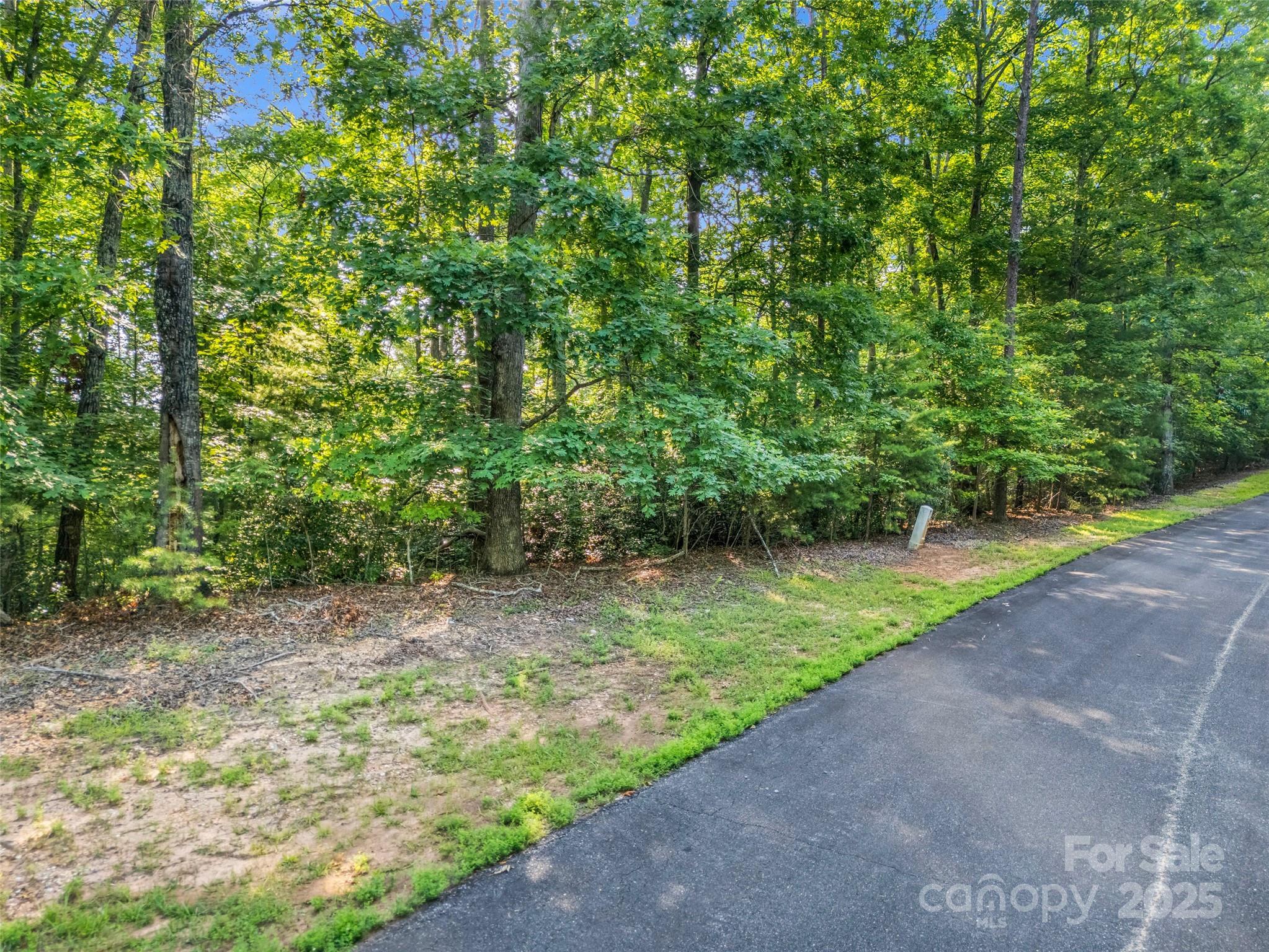 0 Forest Country Drive Marion NC 28752