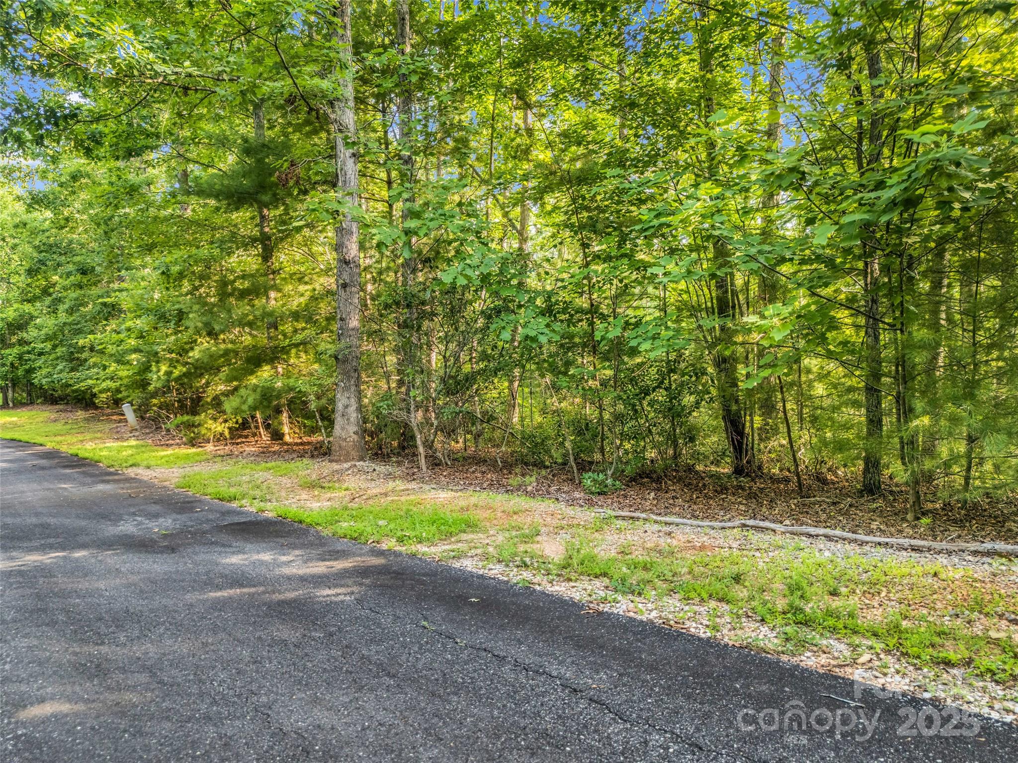 0 Forest Country Drive Marion NC 28752