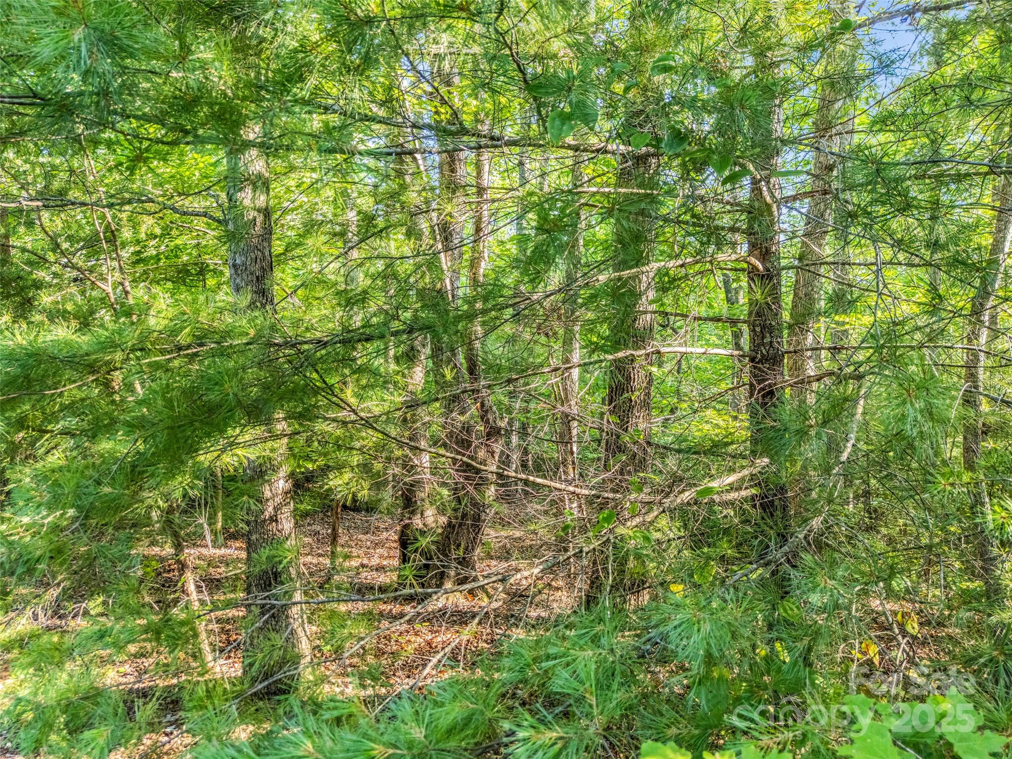 0 Forest Country Drive Marion NC 28752