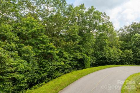 Tbd Lot 122 Firethorn Trail Blowing Rock NC 28605