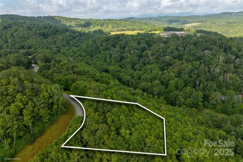 Tbd Lot 122 Firethorn Trail Blowing Rock NC 28605