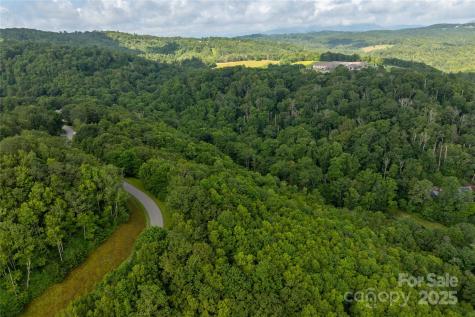 Tbd Lot 122 Firethorn Trail Blowing Rock NC 28605