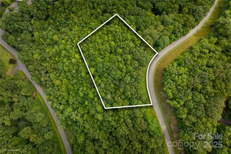 Tbd Lot 122 Firethorn Trail Blowing Rock NC 28605