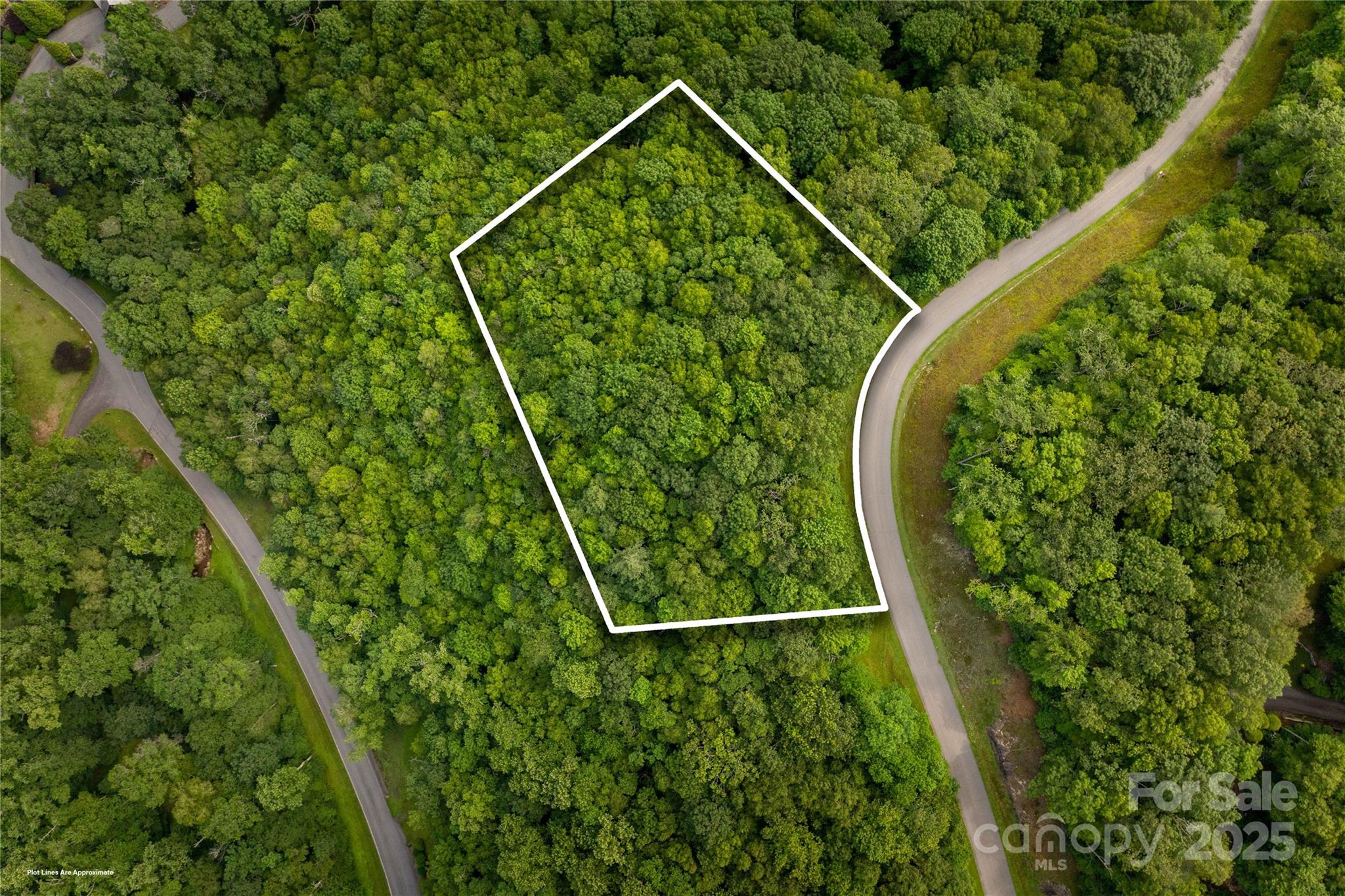 Tbd Lot 122 Firethorn Trail Blowing Rock NC 28605