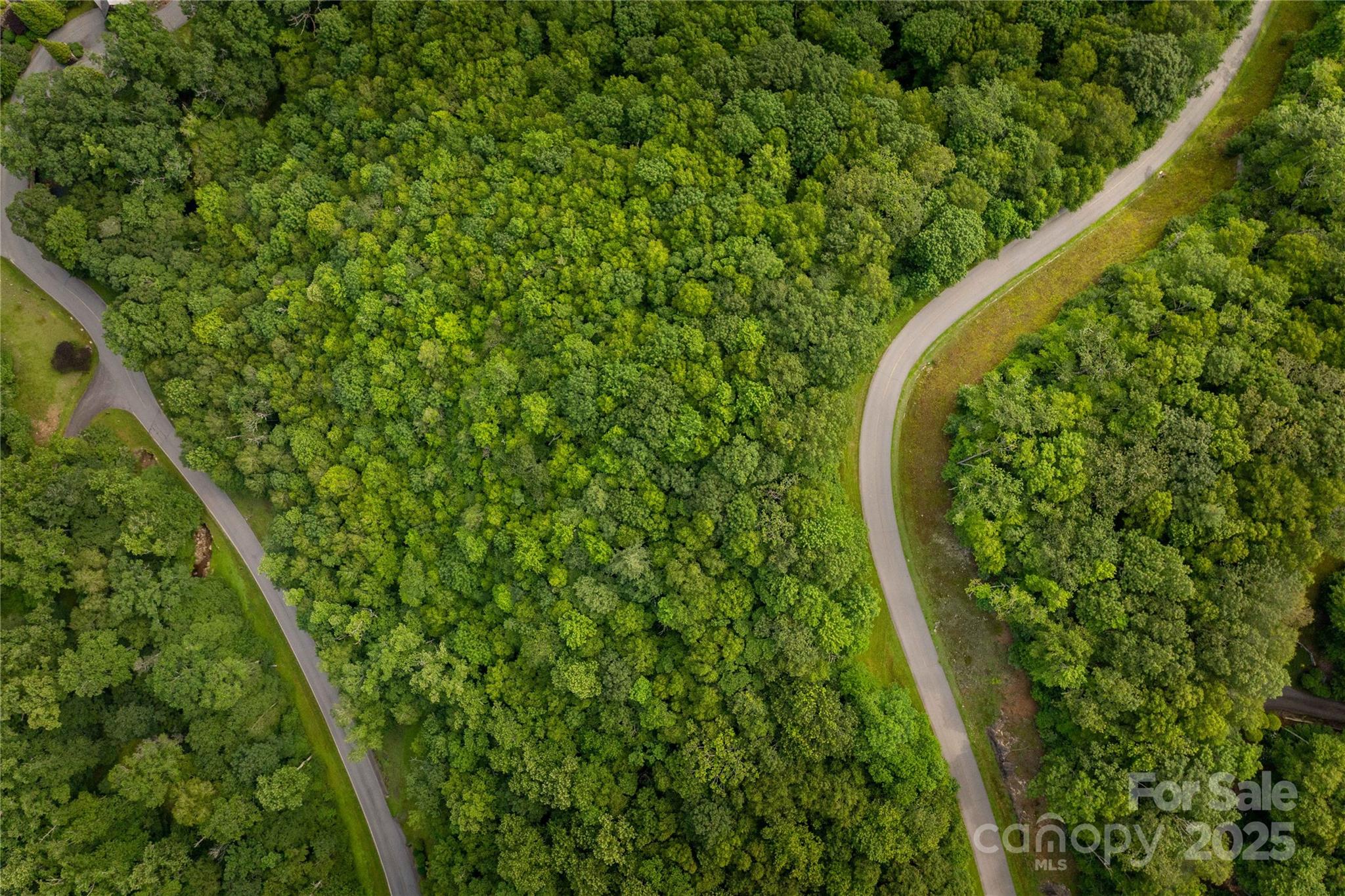 Tbd Lot 122 Firethorn Trail Blowing Rock NC 28605