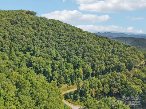 000 Biltmore View Drive Candler NC 28715
