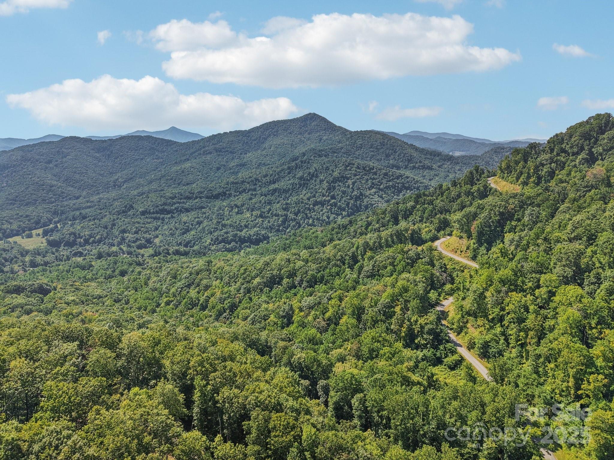 000 Biltmore View Drive Candler NC 28715