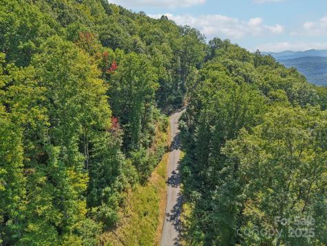 000 Biltmore View Drive Candler NC 28715