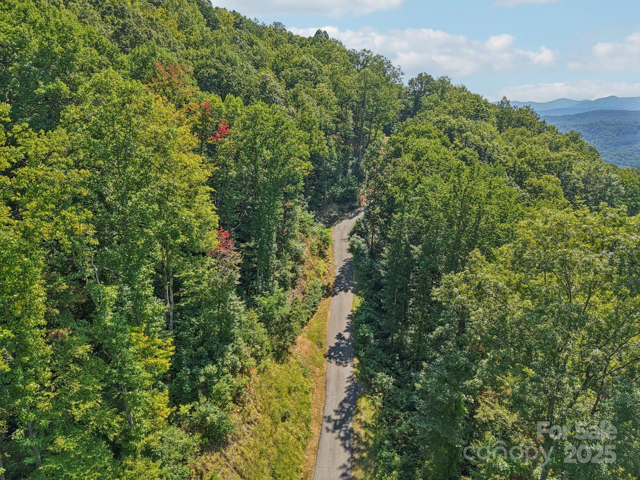 000 Biltmore View Drive Candler NC 28715